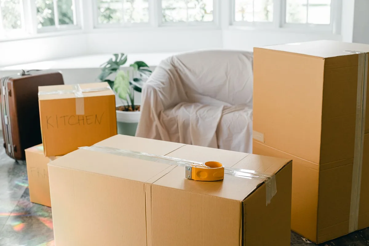 Hoarding Cleanup in Palm Harbor, FL